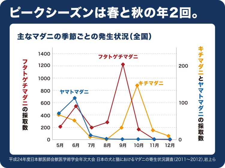 季節ごとに注意するポイントと予防薬